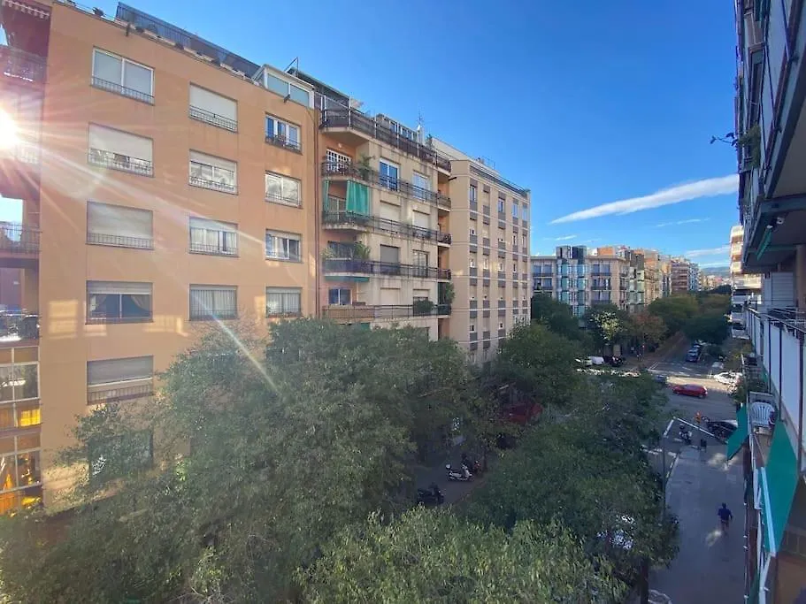 Apartment Love Local Life Near Sagrada Familia By Myrentalhost Barcelona